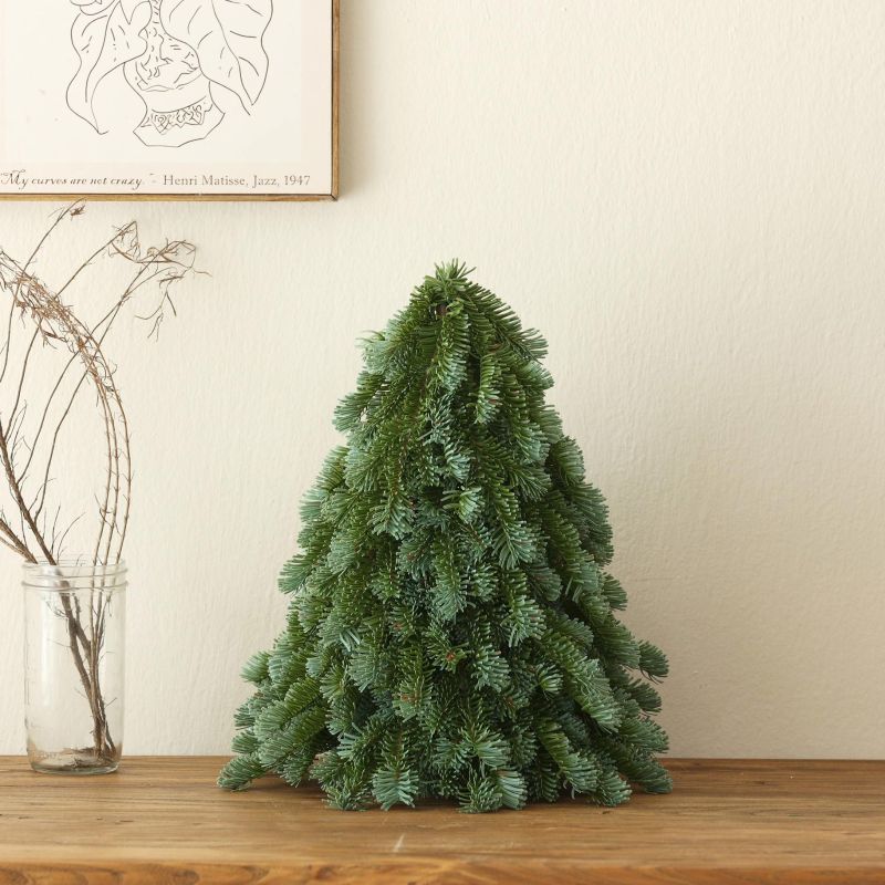 Christmas,Personalized,Christmas tree - PE material simulated Nobel pine tree - Christmas decorations